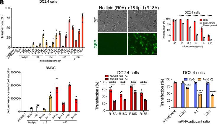 https://cdn.ncbi.nlm.nih.gov/pmc/blobs/729c/10293809/0bba4831f098/pnas.2301606120fig03.jpg