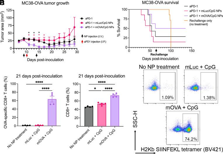 https://cdn.ncbi.nlm.nih.gov/pmc/blobs/729c/10293809/18c510be62f3/pnas.2301606120fig07.jpg