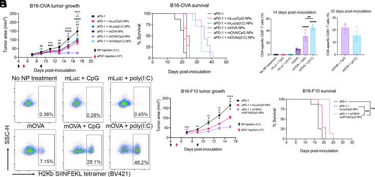 https://cdn.ncbi.nlm.nih.gov/pmc/blobs/729c/10293809/744522423e06/pnas.2301606120fig06.jpg