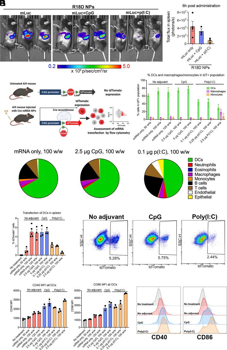 https://cdn.ncbi.nlm.nih.gov/pmc/blobs/729c/10293809/8aa200b0b54d/pnas.2301606120fig05.jpg