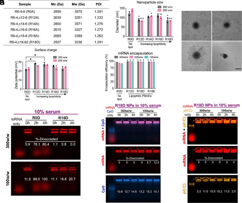 https://cdn.ncbi.nlm.nih.gov/pmc/blobs/729c/10293809/a4bb85bf4158/pnas.2301606120fig02.jpg