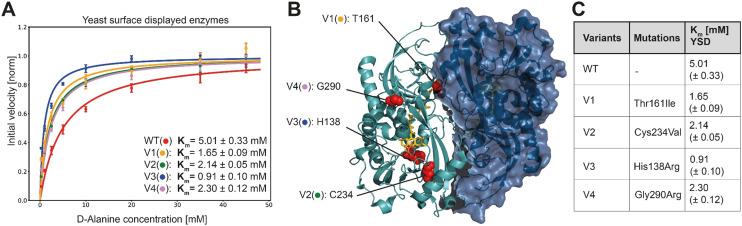 https://cdn.ncbi.nlm.nih.gov/pmc/blobs/729c/10366730/c9988d3d3aa1/d3re00002h-f3.jpg