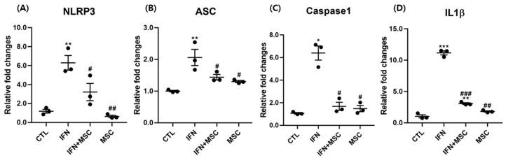 https://cdn.ncbi.nlm.nih.gov/pmc/blobs/729d/8123883/07da39d31606/ijms-22-04581-g002.jpg