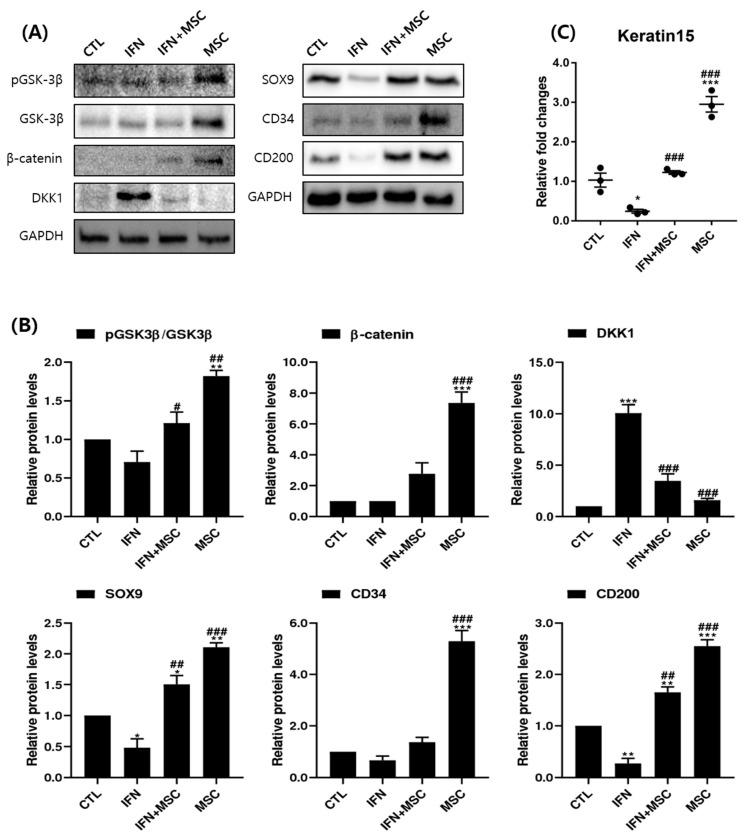 https://cdn.ncbi.nlm.nih.gov/pmc/blobs/729d/8123883/96c7e90d9772/ijms-22-04581-g005.jpg