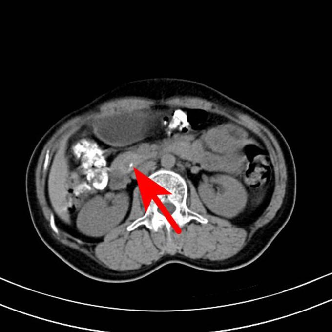 https://cdn.ncbi.nlm.nih.gov/pmc/blobs/729f/10628574/e3b6982780e0/j_biol-2022-0742-fig002.jpg