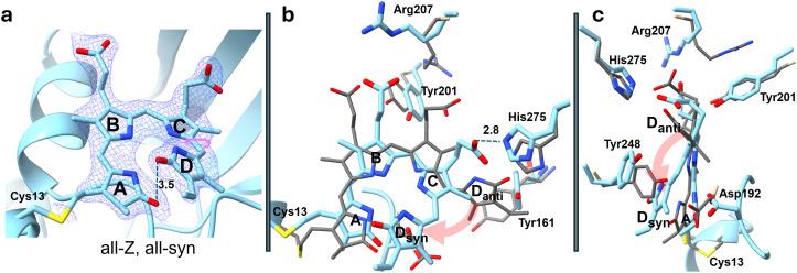 https://cdn.ncbi.nlm.nih.gov/pmc/blobs/72a0/12048173/365f2479ccff/SDTYAE-000012-034701_1-g006.jpg