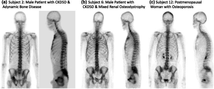 https://cdn.ncbi.nlm.nih.gov/pmc/blobs/72a4/3824308/1d87f2ebf79f/223_2013_9778_Fig1_HTML.jpg