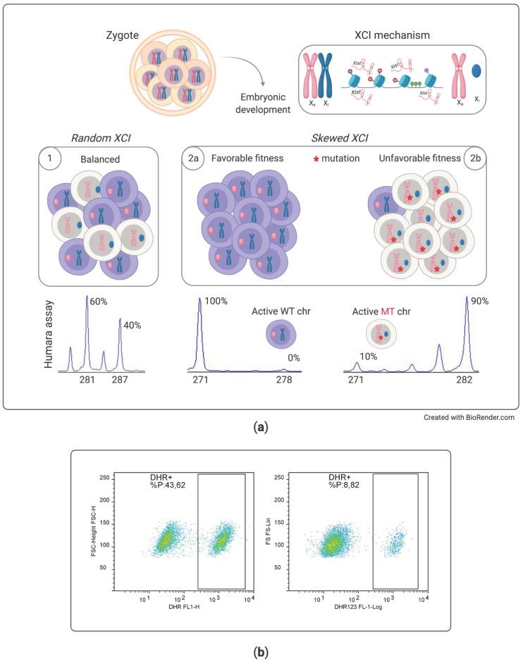 https://cdn.ncbi.nlm.nih.gov/pmc/blobs/72a4/8002250/8ec8db0167f9/diagnostics-11-00532-g002.jpg