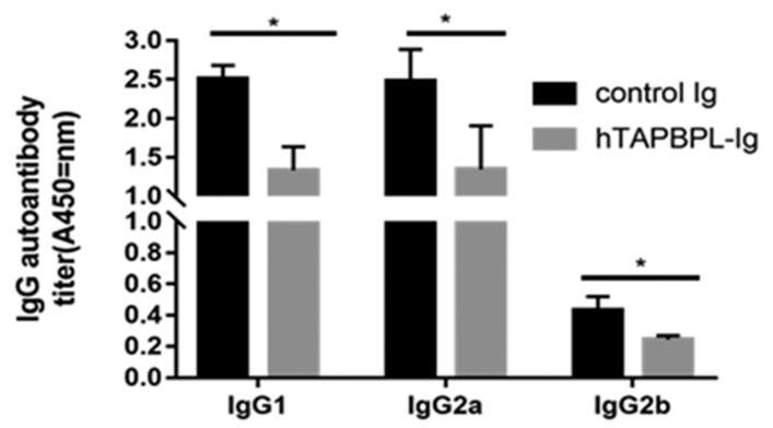 https://cdn.ncbi.nlm.nih.gov/pmc/blobs/72a5/10530323/ab7202e97c89/ijms-24-13772-g006.jpg