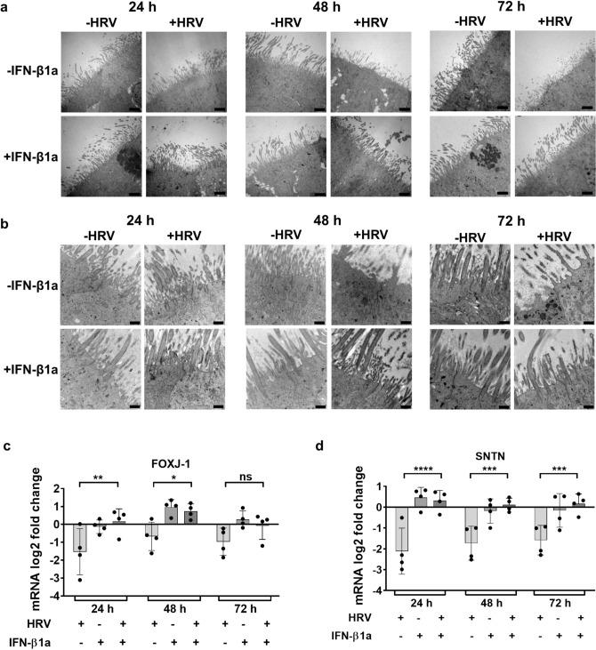 https://cdn.ncbi.nlm.nih.gov/pmc/blobs/72a6/11649702/a5d7ec981738/41598_2024_82516_Fig3_HTML.jpg