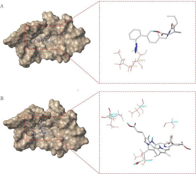 https://cdn.ncbi.nlm.nih.gov/pmc/blobs/72a9/12379127/26165a32ec8d/41598_2025_16101_Fig5_HTML.jpg