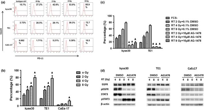 https://cdn.ncbi.nlm.nih.gov/pmc/blobs/72a9/5406530/63621e1652aa/CAS-108-590-g004.jpg