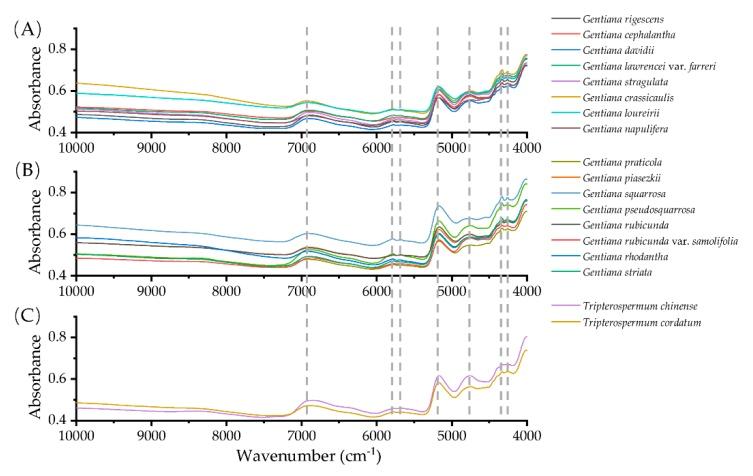 https://cdn.ncbi.nlm.nih.gov/pmc/blobs/72a9/7144467/df4b25e21bd9/molecules-25-01442-g002.jpg