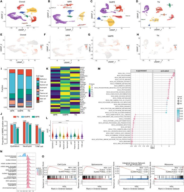 https://cdn.ncbi.nlm.nih.gov/pmc/blobs/72ad/11324481/79754d0a81d2/fimmu-15-1430171-g006.jpg