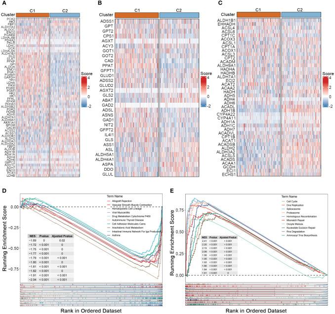 https://cdn.ncbi.nlm.nih.gov/pmc/blobs/72ad/11324481/a66540680b04/fimmu-15-1430171-g002.jpg