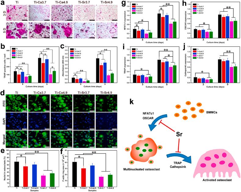 https://cdn.ncbi.nlm.nih.gov/pmc/blobs/72ad/7553892/5ca0f68d66aa/gr4.jpg