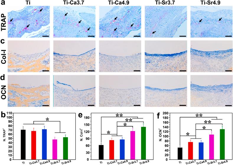 https://cdn.ncbi.nlm.nih.gov/pmc/blobs/72ad/7553892/8fc767612bf2/gr7.jpg