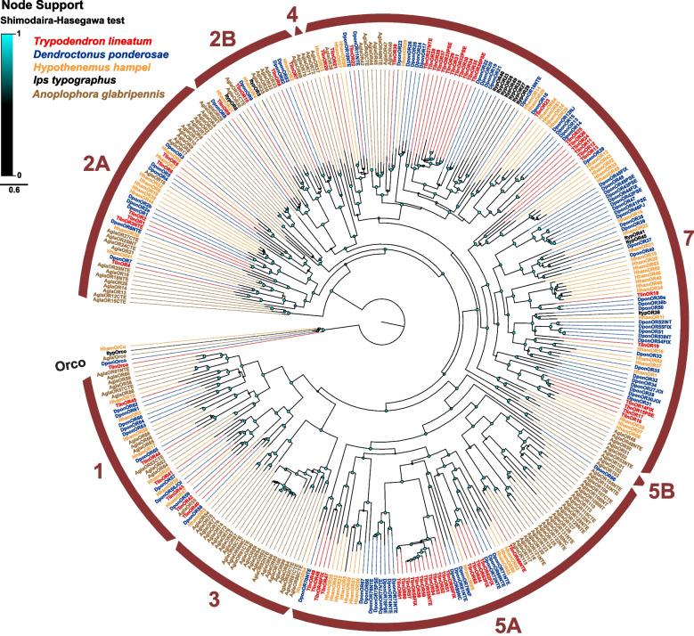 https://cdn.ncbi.nlm.nih.gov/pmc/blobs/72ae/11302349/269bad6feb6d/12864_2024_10678_Fig1_HTML.jpg