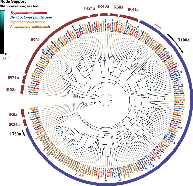 https://cdn.ncbi.nlm.nih.gov/pmc/blobs/72ae/11302349/5e4cab5e9e42/12864_2024_10678_Fig3_HTML.jpg