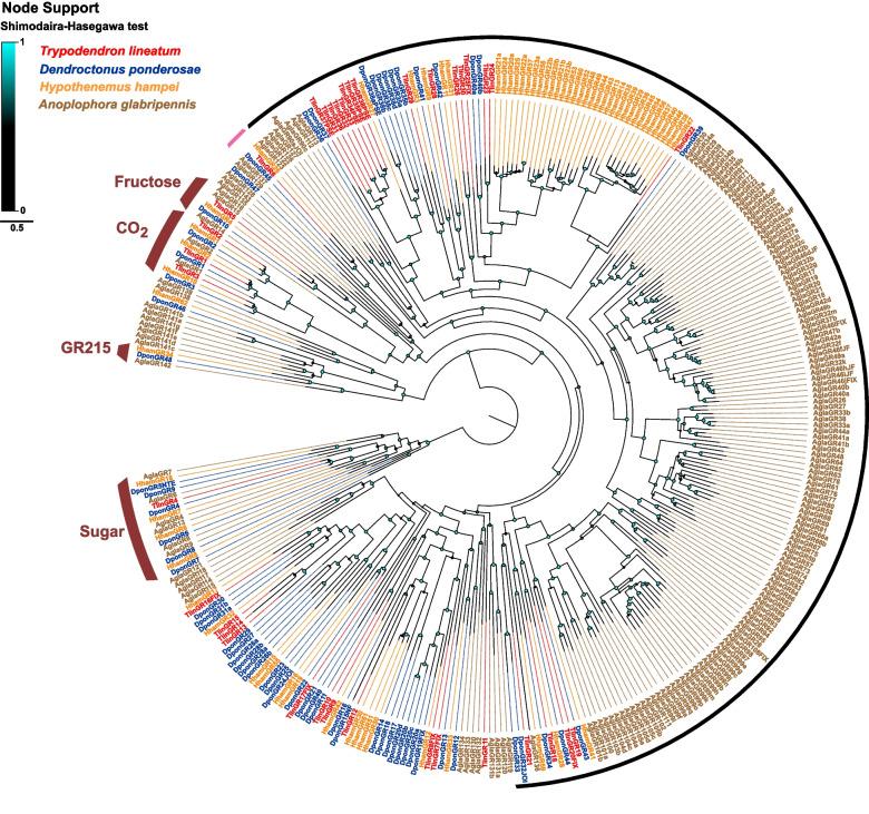 https://cdn.ncbi.nlm.nih.gov/pmc/blobs/72ae/11302349/ba46947d469d/12864_2024_10678_Fig2_HTML.jpg
