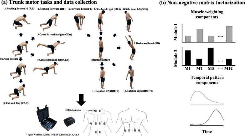 https://cdn.ncbi.nlm.nih.gov/pmc/blobs/72af/10230697/be707b5e64cc/12984_2023_1190_Fig1_HTML.jpg