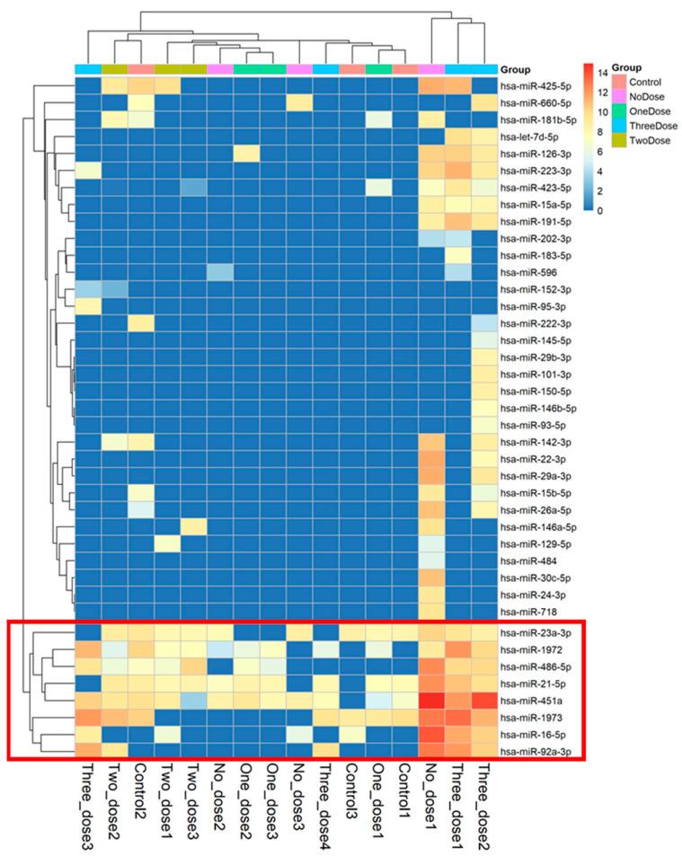 https://cdn.ncbi.nlm.nih.gov/pmc/blobs/72af/11209245/43ac1dc5f4dd/vaccines-12-00658-g002.jpg