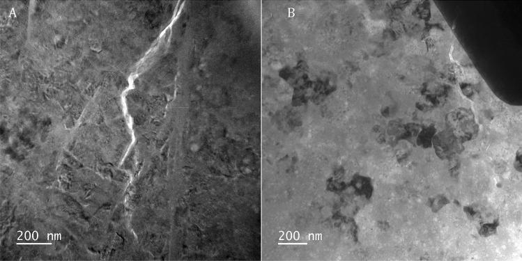https://cdn.ncbi.nlm.nih.gov/pmc/blobs/72b0/8602367/b94fe4660f57/41598_2021_1960_Fig5_HTML.jpg