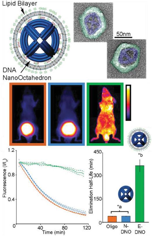 https://cdn.ncbi.nlm.nih.gov/pmc/blobs/72b0/9285959/39e0cbc41b57/ADHM-8-1801546-g006.jpg