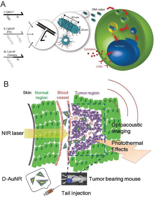 https://cdn.ncbi.nlm.nih.gov/pmc/blobs/72b0/9285959/c2495faca790/ADHM-8-1801546-g025.jpg