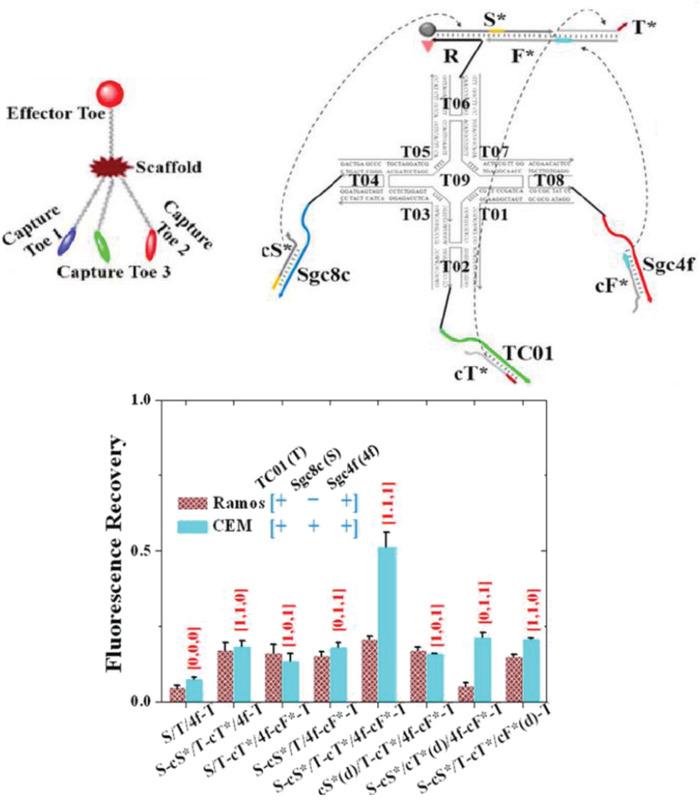 https://cdn.ncbi.nlm.nih.gov/pmc/blobs/72b0/9285959/cbb6e1eab044/ADHM-8-1801546-g021.jpg