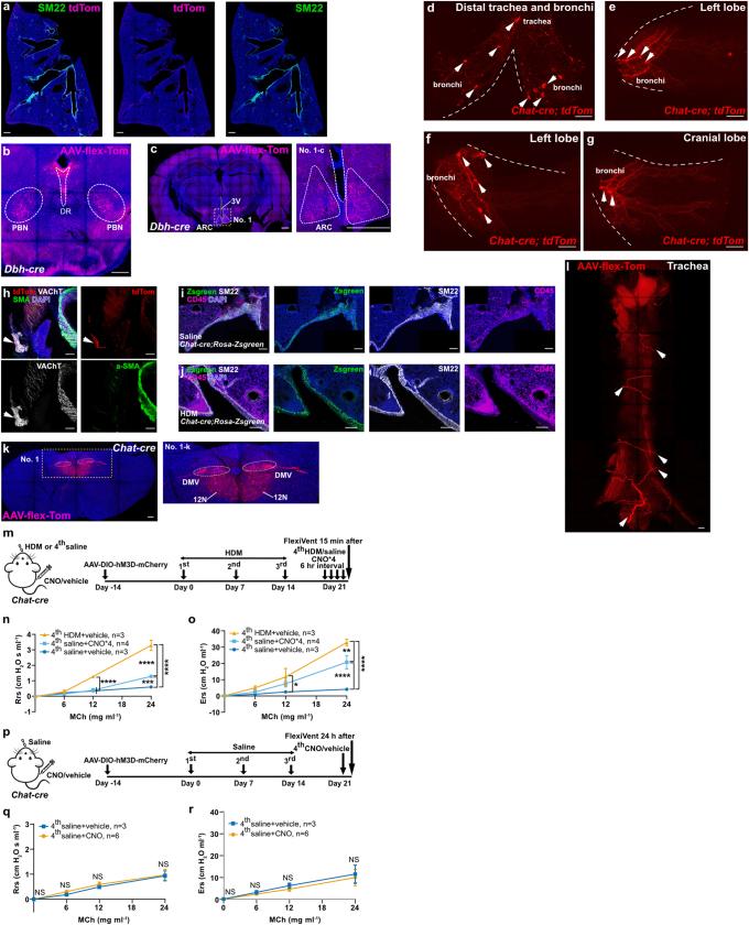 https://cdn.ncbi.nlm.nih.gov/pmc/blobs/72b1/11254774/1c8a47fe3bf9/41586_2024_7608_Fig15_ESM.jpg