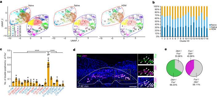 https://cdn.ncbi.nlm.nih.gov/pmc/blobs/72b1/11254774/2ccbe93e39c7/41586_2024_7608_Fig3_HTML.jpg