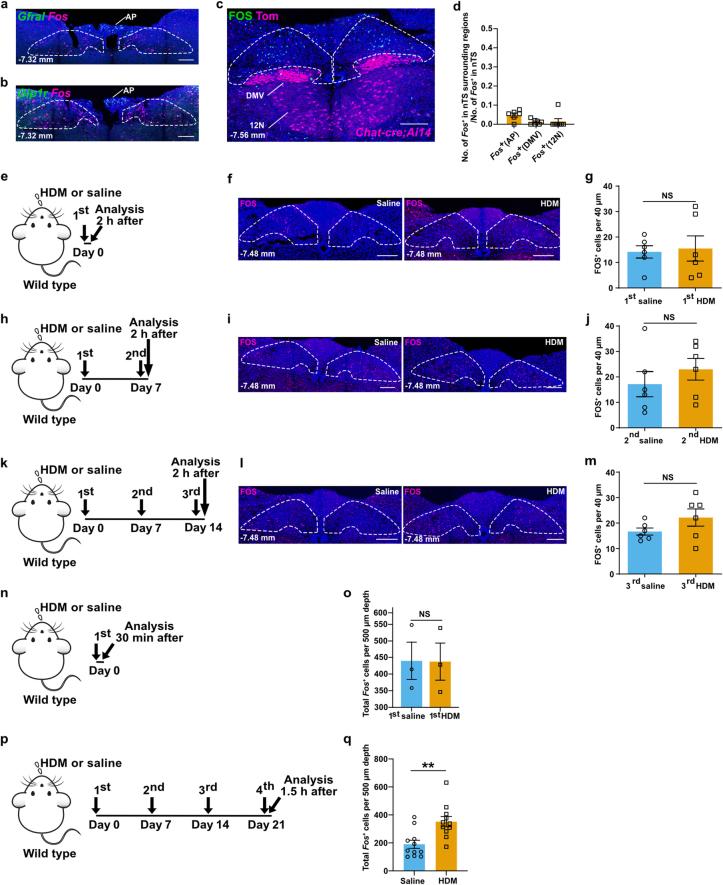 https://cdn.ncbi.nlm.nih.gov/pmc/blobs/72b1/11254774/6825a42e89e2/41586_2024_7608_Fig8_ESM.jpg