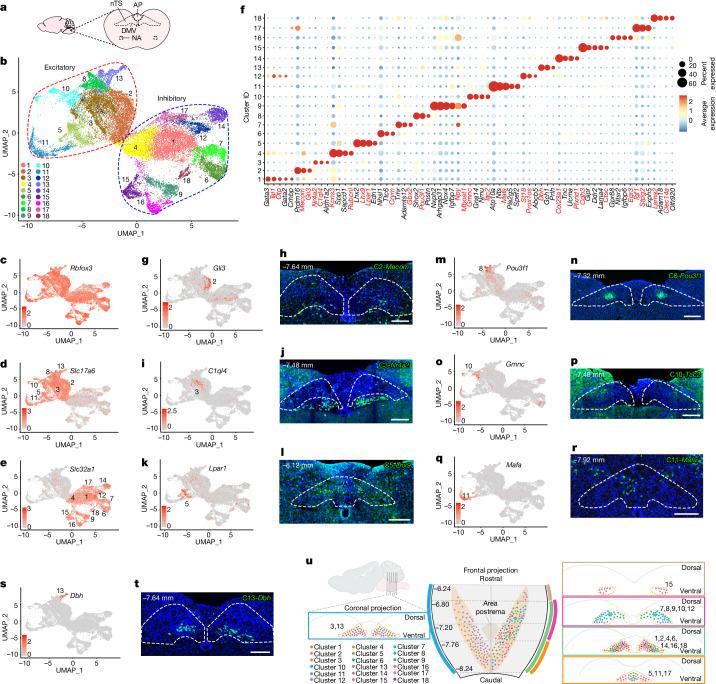 https://cdn.ncbi.nlm.nih.gov/pmc/blobs/72b1/11254774/6a5a9bb9881a/41586_2024_7608_Fig2_HTML.jpg