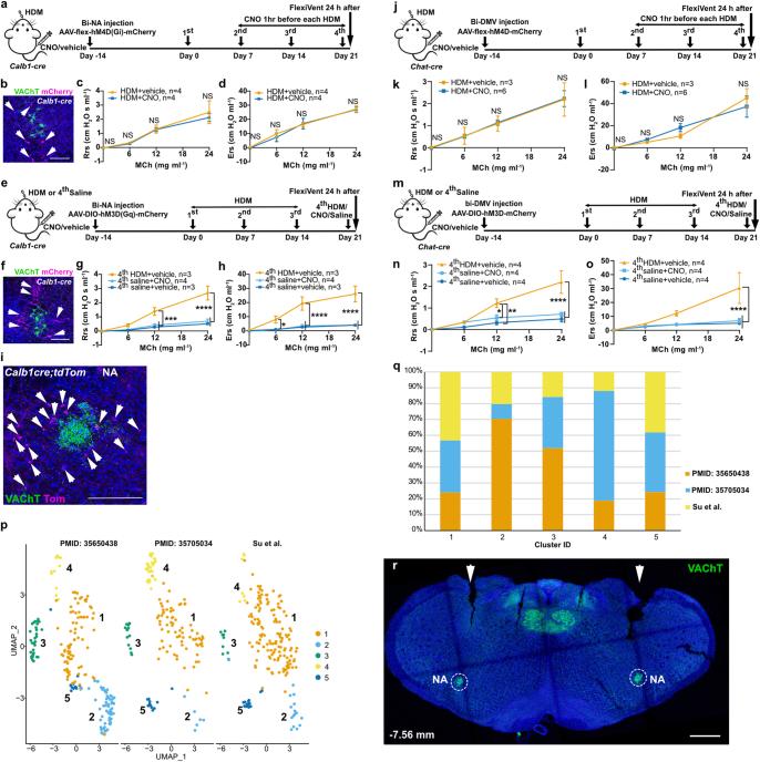 https://cdn.ncbi.nlm.nih.gov/pmc/blobs/72b1/11254774/7afb9e8a2be5/41586_2024_7608_Fig16_ESM.jpg