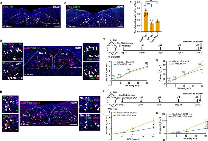https://cdn.ncbi.nlm.nih.gov/pmc/blobs/72b1/11254774/8a369d15b4e1/41586_2024_7608_Fig13_ESM.jpg
