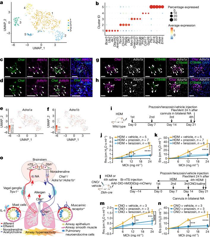 https://cdn.ncbi.nlm.nih.gov/pmc/blobs/72b1/11254774/bc509300f721/41586_2024_7608_Fig6_HTML.jpg