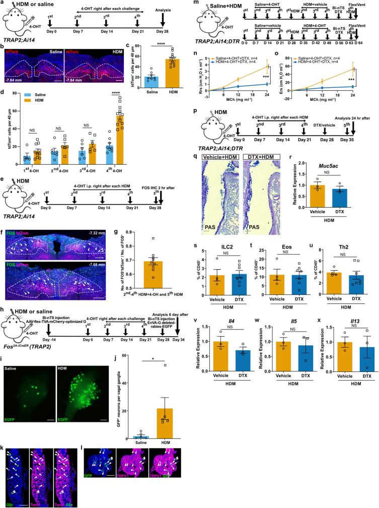 https://cdn.ncbi.nlm.nih.gov/pmc/blobs/72b1/11254774/c3e4a38e97b7/41586_2024_7608_Fig9_ESM.jpg