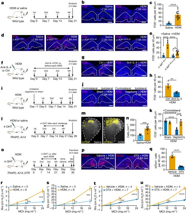 https://cdn.ncbi.nlm.nih.gov/pmc/blobs/72b1/11254774/e68ccb4c66da/41586_2024_7608_Fig1_HTML.jpg