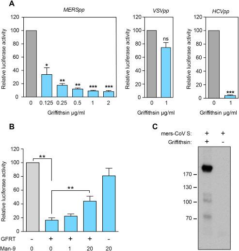 https://cdn.ncbi.nlm.nih.gov/pmc/blobs/72b2/7113895/1c96445d9416/gr3.jpg