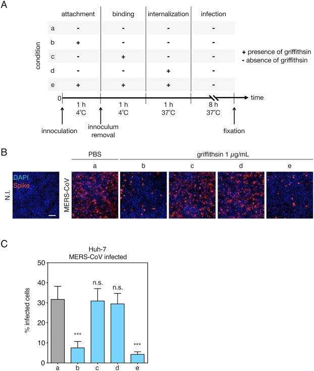 https://cdn.ncbi.nlm.nih.gov/pmc/blobs/72b2/7113895/2c785b569938/gr4.jpg