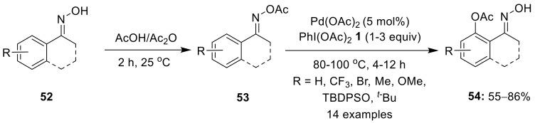 https://cdn.ncbi.nlm.nih.gov/pmc/blobs/72b4/9230104/7d94b57ab760/molecules-27-03900-sch015.jpg