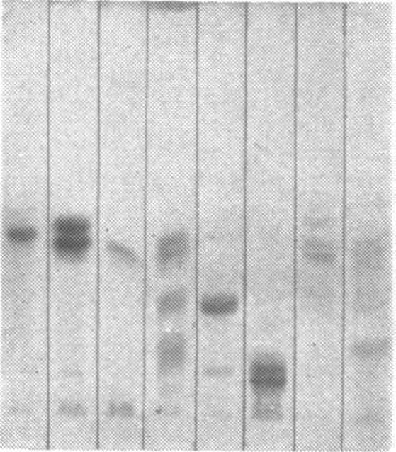 https://cdn.ncbi.nlm.nih.gov/pmc/blobs/72b6/286087/46723eb55b89/pnas00096-0071-b.jpg