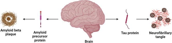 https://cdn.ncbi.nlm.nih.gov/pmc/blobs/72b8/12177682/5fb07706f064/IBRA-11-162-g005.jpg