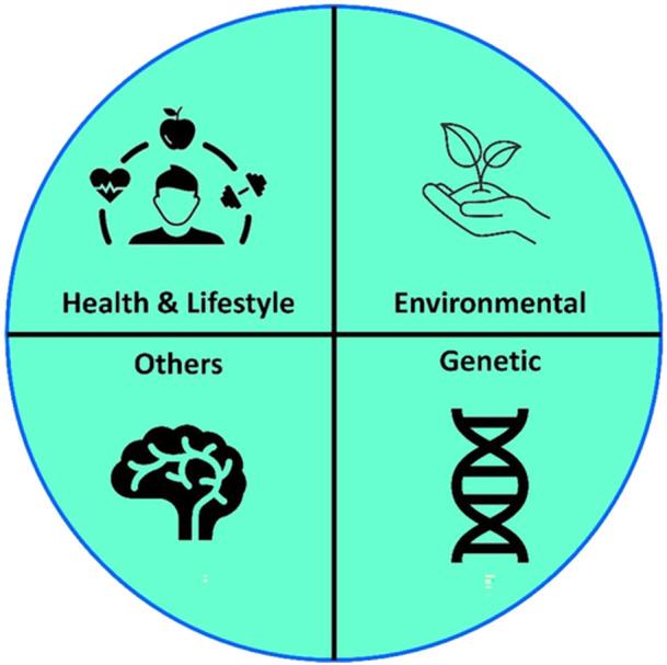 https://cdn.ncbi.nlm.nih.gov/pmc/blobs/72b8/12177682/a32fc1e59424/IBRA-11-162-g004.jpg