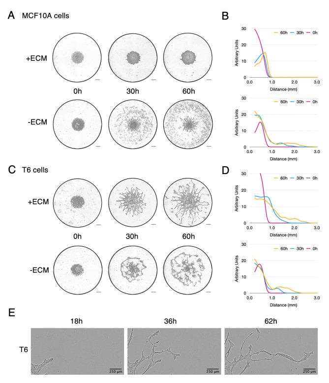 https://cdn.ncbi.nlm.nih.gov/pmc/blobs/72b8/9667613/2b274197bfe4/13046_2022_2514_Fig6_HTML.jpg