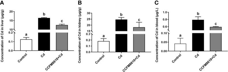 https://cdn.ncbi.nlm.nih.gov/pmc/blobs/72b9/7758470/38046be8ba1d/fimmu-11-619574-g006.jpg