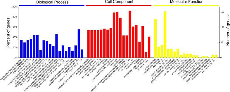 https://cdn.ncbi.nlm.nih.gov/pmc/blobs/72b9/7758470/43bec41e1283/fimmu-11-619574-g002.jpg