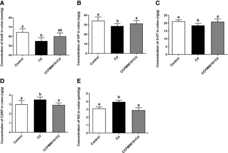 https://cdn.ncbi.nlm.nih.gov/pmc/blobs/72b9/7758470/5dd91ab76b95/fimmu-11-619574-g004.jpg