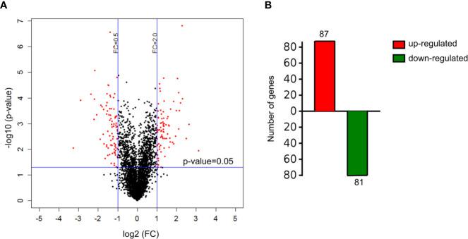 https://cdn.ncbi.nlm.nih.gov/pmc/blobs/72b9/7758470/da71fadd1030/fimmu-11-619574-g001.jpg